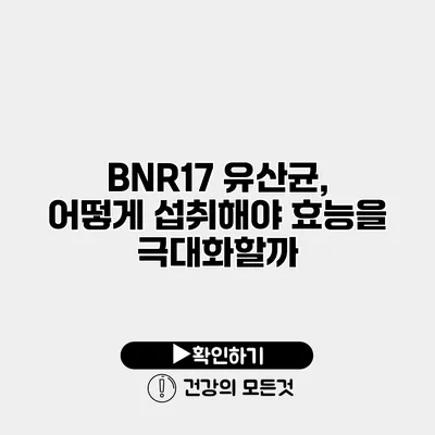 BNR17 유산균, 어떻게 섭취해야 효능을 극대화할까?