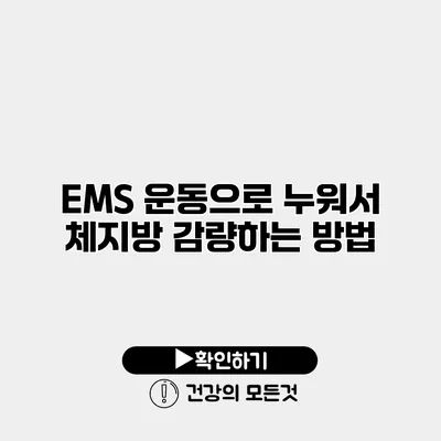 EMS 운동으로 누워서 체지방 감량하는 방법
