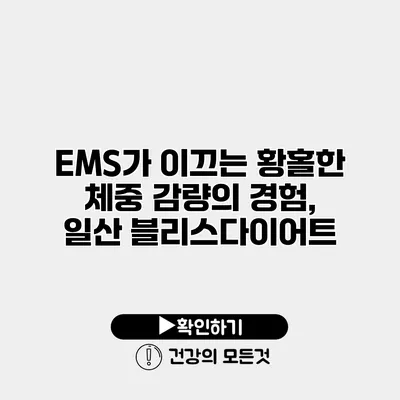 EMS가 이끄는 황홀한 체중 감량의 경험, 일산 블리스다이어트