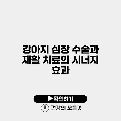 강아지 심장 수술과 재활 치료의 시너지 효과