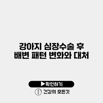 강아지 심장수술 후 배변 패턴 변화와 대처