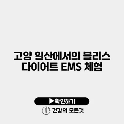 고양 일산에서의 블리스 다이어트 EMS 체험