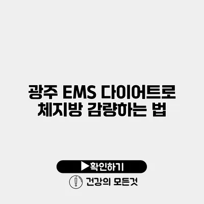 광주 EMS 다이어트로 체지방 감량하는 법