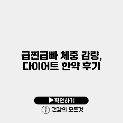 급찐급빠 체중 감량, 다이어트 한약 후기
