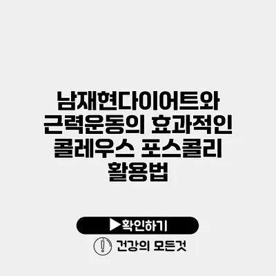 남재현다이어트와 근력운동의 효과적인 콜레우스 포스콜리 활용법