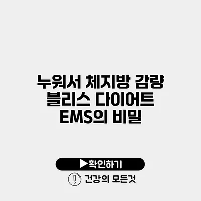 누워서 체지방 감량 블리스 다이어트 EMS의 비밀