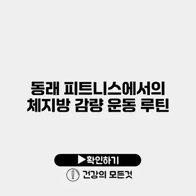 동래 피트니스에서의 체지방 감량 운동 루틴