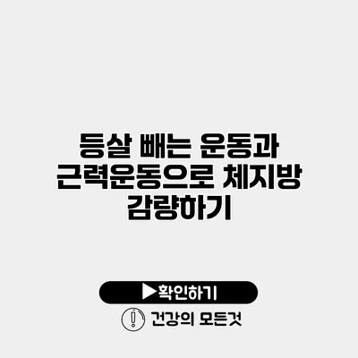 등살 빼는 운동과 근력운동으로 체지방 감량하기