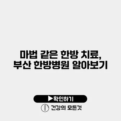 마법 같은 한방 치료, 부산 한방병원 알아보기