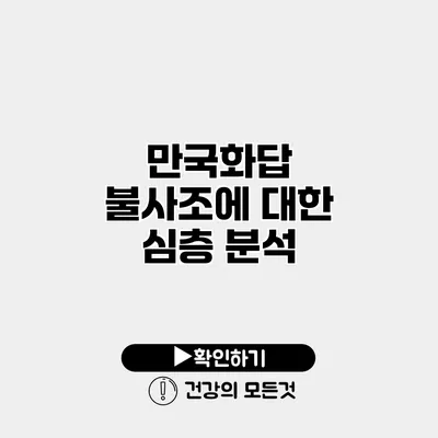 만국화답 불사조에 대한 심층 분석