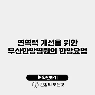 면역력 개선을 위한 부산한방병원의 한방요법