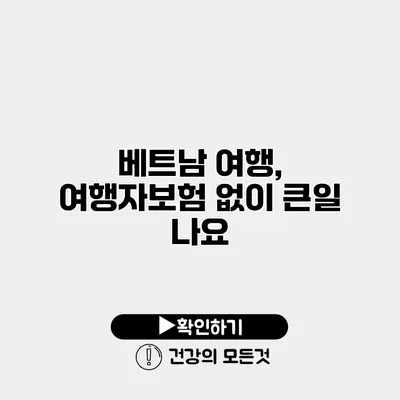 베트남 여행, 여행자보험 없이 큰일 나요