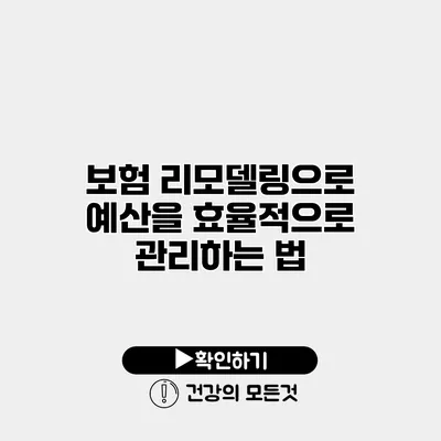 보험 리모델링으로 예산을 효율적으로 관리하는 법