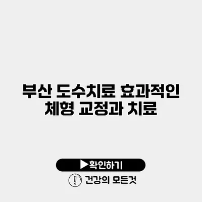 부산 도수치료 효과적인 체형 교정과 치료