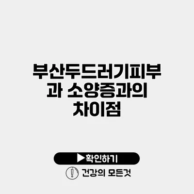 부산두드러기피부과 소양증과의 차이점