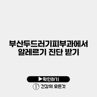 부산두드러기피부과에서 알레르기 진단 받기
