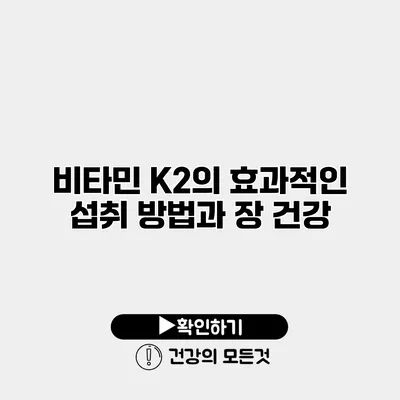 비타민 K2의 효과적인 섭취 방법과 장 건강