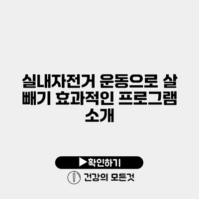 실내자전거 운동으로 살 빼기 효과적인 프로그램 소개