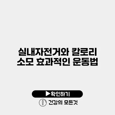 실내자전거와 칼로리 소모 효과적인 운동법