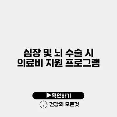 심장 및 뇌 수술 시 의료비 지원 프로그램