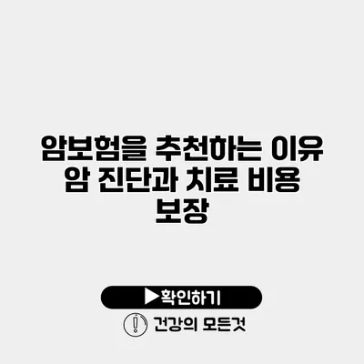 암보험을 추천하는 이유 암 진단과 치료 비용 보장