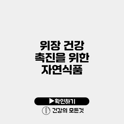 위장 건강 촉진을 위한 자연식품