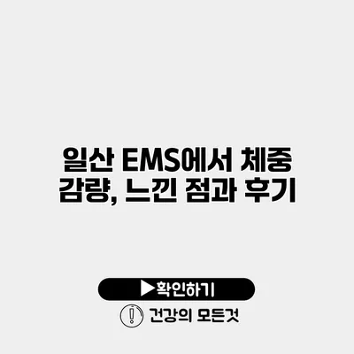 일산 EMS에서 체중 감량, 느낀 점과 후기