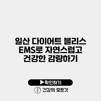 일산 다이어트 블리스 EMS로 자연스럽고 건강한 감량하기