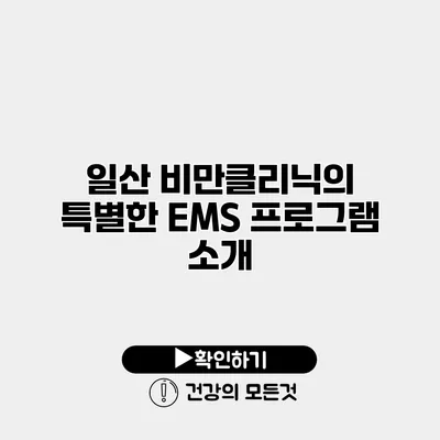일산 비만클리닉의 특별한 EMS 프로그램 소개