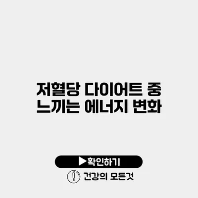 저혈당 다이어트 중 느끼는 에너지 변화