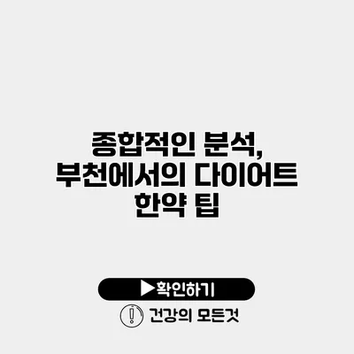 종합적인 분석, 부천에서의 다이어트 한약 팁