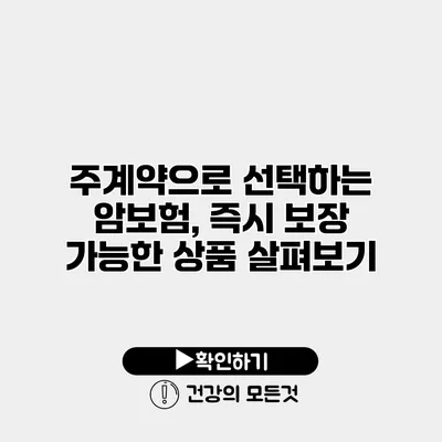 주계약으로 선택하는 암보험, 즉시 보장 가능한 상품 살펴보기