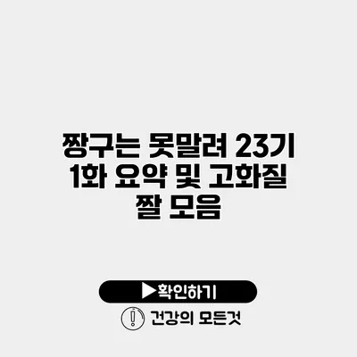 짱구는 못말려 23기 1화 요약 및 고화질 짤 모음