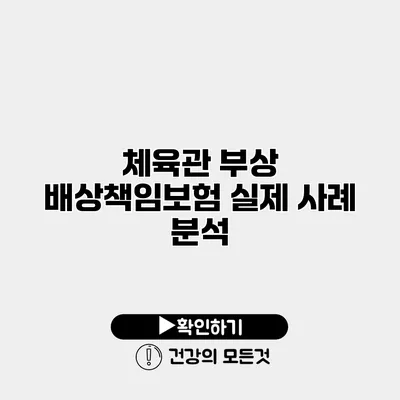체육관 부상 배상책임보험 실제 사례 분석