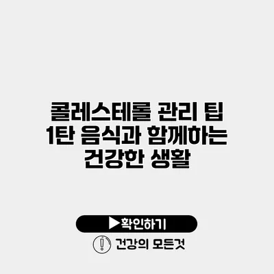 콜레스테롤 관리 팁 1탄 음식과 함께하는 건강한 생활