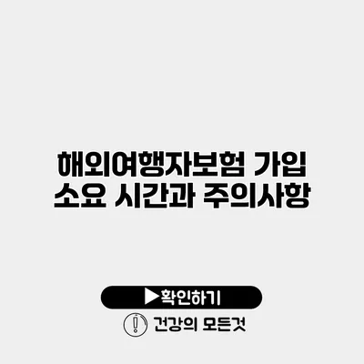 해외여행자보험 가입 소요 시간과 주의사항
