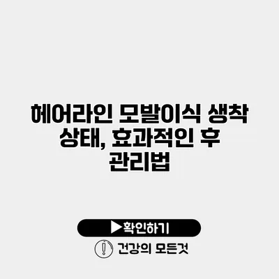 헤어라인 모발이식 생착 상태, 효과적인 후 관리법