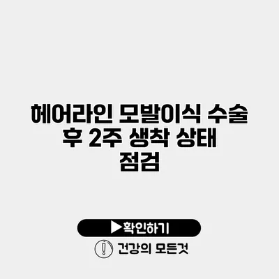 헤어라인 모발이식 수술 후 2주 생착 상태 점검
