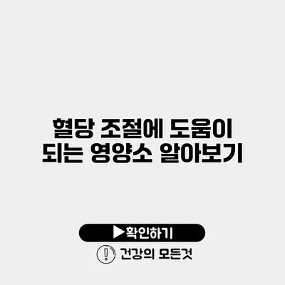 혈당 조절에 도움이 되는 영양소 알아보기