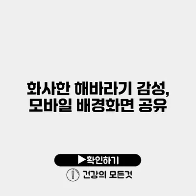 화사한 해바라기 감성, 모바일 배경화면 공유