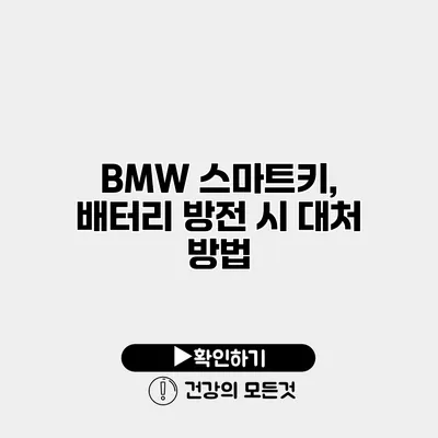 BMW 스마트키, 배터리 방전 시 대처 방법