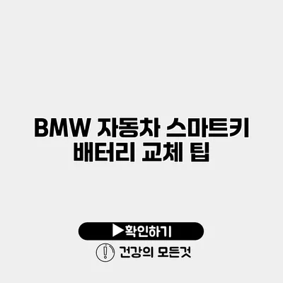 BMW 자동차 스마트키 배터리 교체 팁