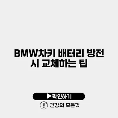 BMW차키 배터리 방전 시 교체하는 팁