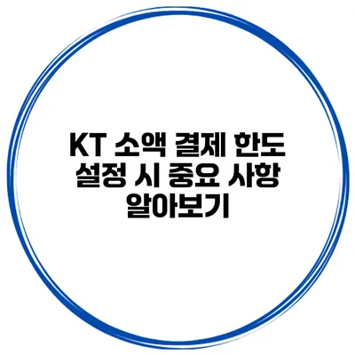 KT 소액 결제 한도 설정 시 중요 사항 알아보기