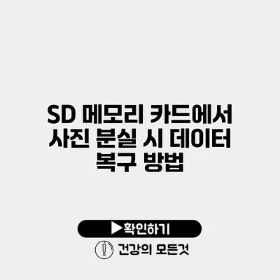 SD 메모리 카드에서 사진 분실 시 데이터 복구 방법