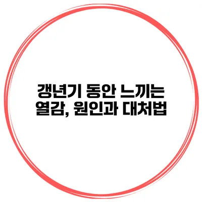 갱년기 동안 느끼는 열감, 원인과 대처법