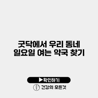 굿닥에서 우리 동네 일요일 여는 약국 찾기