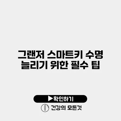 그랜저 스마트키 수명 늘리기 위한 필수 팁