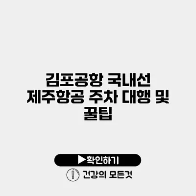 김포공항 국내선 제주항공 주차 대행 및 꿀팁