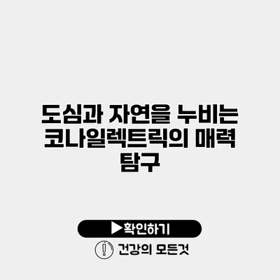 도심과 자연을 누비는 코나일렉트릭의 매력 탐구